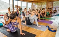 Rishikesh Yoga Immersion: 200-Hour Yoga Teacher Training in Rishikesh